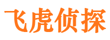 潼关市侦探公司